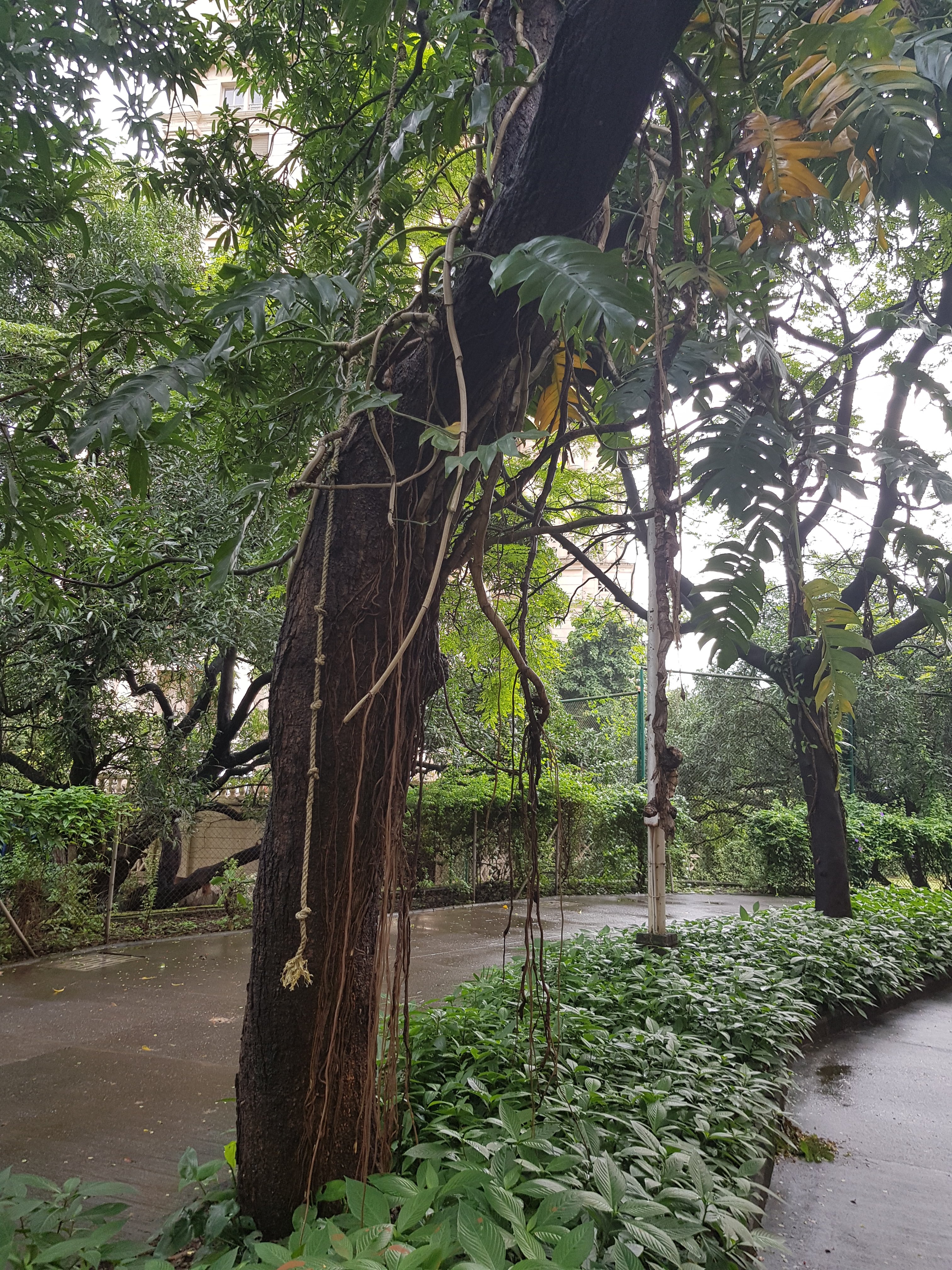 Mumbai Diaries : Finding my walking place