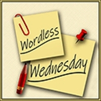 Wordless Wednesdays